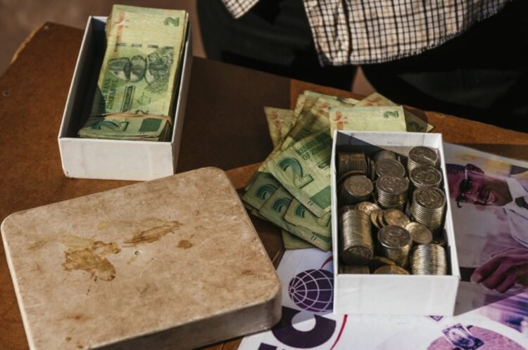 Zimbabwe inflation again at three digits after forex crashes