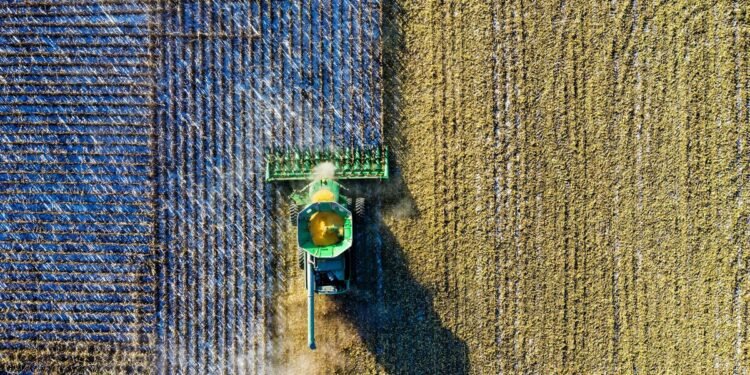 H1 2023 in Overview for Potash and Phosphate