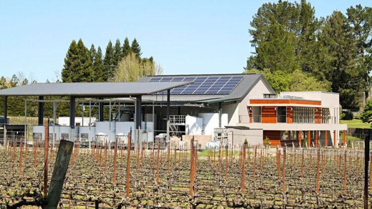 Why BLUE BIN Believes The Future Of The Wine Business Rests On Bottles