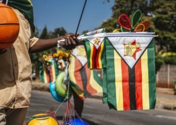Deliberate Zimbabwe carbon registry throws Belarus plan into doubt