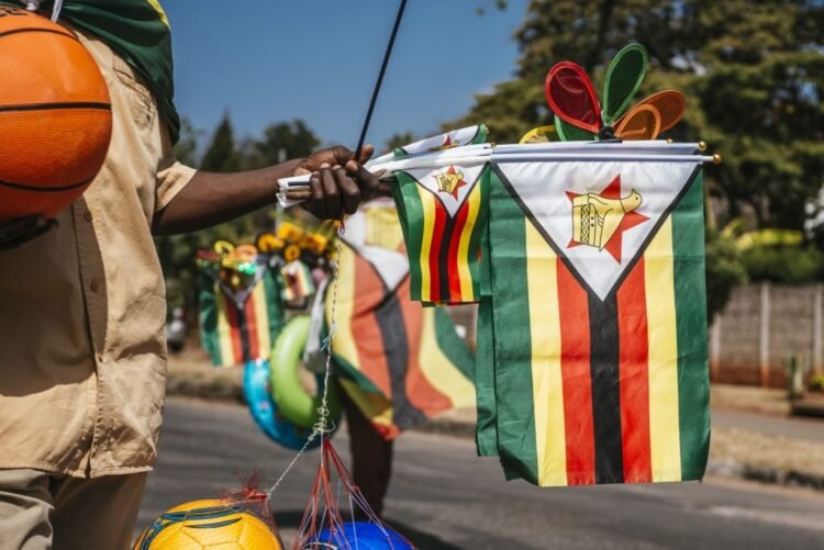 Deliberate Zimbabwe carbon registry throws Belarus plan into doubt