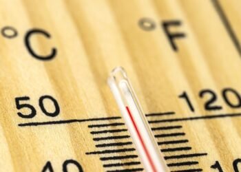 Emergency rooms swamped as report warmth above 100F wilts US South