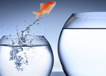Why NBIO is a Biotech Discount Basement Cope with Underappreciated Potential