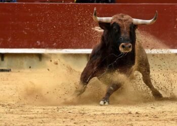 Dow Jones Futures: Bulls Need To Run, However Market Rally Hits Resistance; 10 Shares Close to Purchase Factors