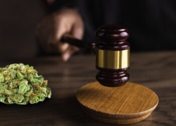 Medical Marijuana Affected person Granted Practically $200K As New York Supreme Courtroom Confirms Discrimination
