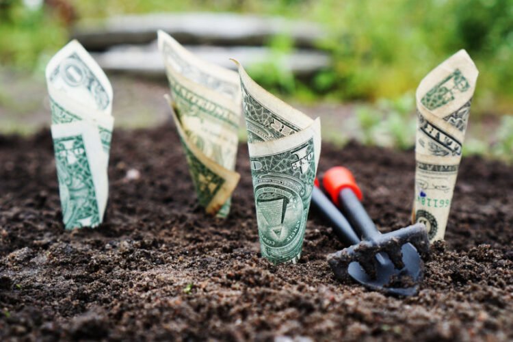 Small Enterprise Funding: Exploring Choices and Methods