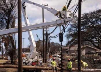 Lethal Maui fires probably attributable to naked electrical wire, leaning poles