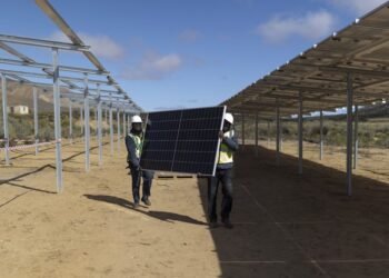 SA sees take care of China to safe photo voltaic panel provide