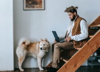 4 methods Kiwi small companies can hit refresh for FY24