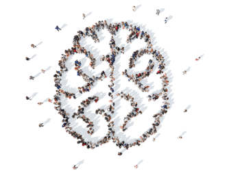 The Energetic Administration Delusion: Respect the Knowledge of the Crowd