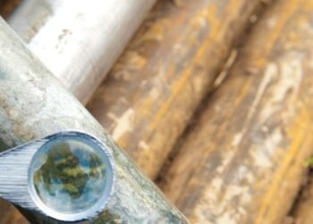 An Rising Hotbed for Crucial Minerals