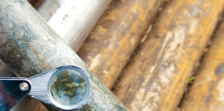 An Rising Hotbed for Crucial Minerals
