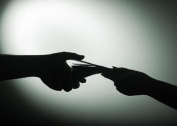 Why fraud is considered a brand new language