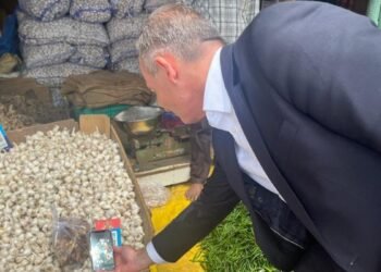 Bengaluru: German minister ‘fascinated’ by UPI after shopping for greens from roadside vendor