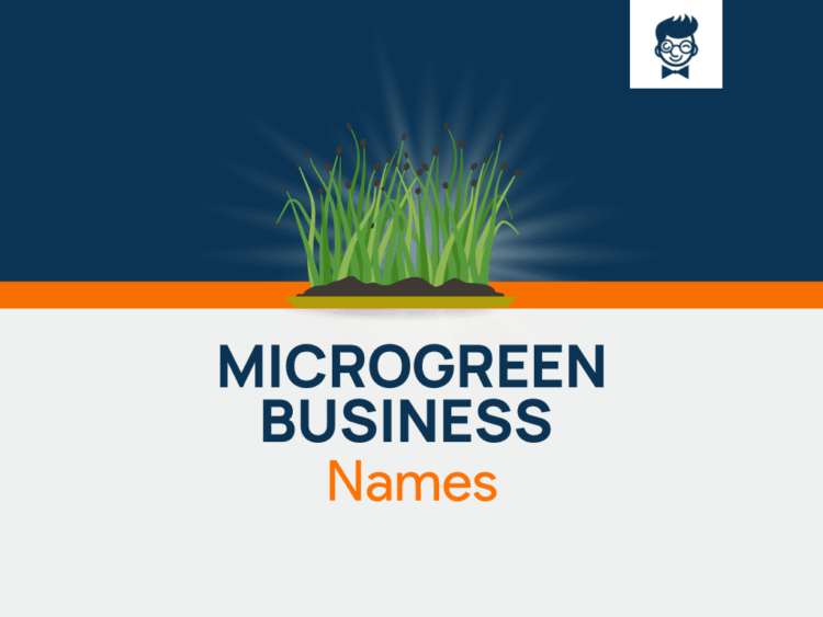 600+ Microgreen Enterprise Names Concepts And Domains (Generator + Information)