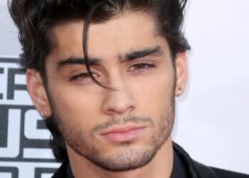 Zayn Malik sued for alleged copyright infringement over ‘Higher’
