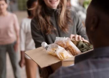 Social Enterprise Enterprise Mannequin: Examples, Benefits, and Disadvantages