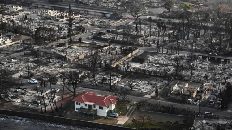 Local weather change forcing real-estate builders so as to add weather-proofing