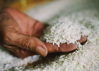 UK-India FTA raises issues amongst British rice millers