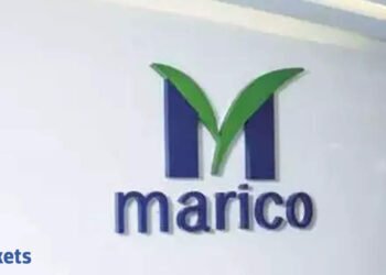 Marico Q2 Outcomes: Internet revenue rises 17% YoY to Rs 353 crore; agency to pay Rs 3 dividend