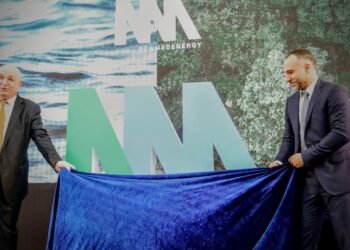 NewMed Power seeks larger provide from BP, ADNOC – report