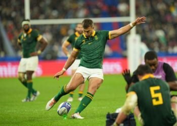 Springboks laser-focused and able to make a meal of Kiwis