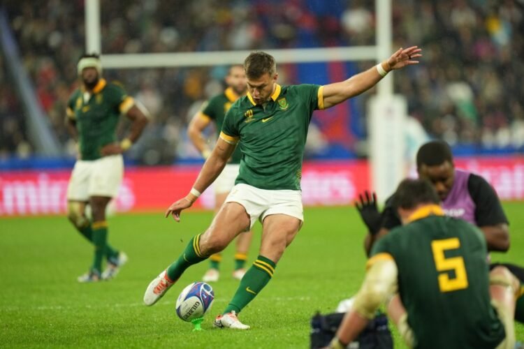 Springboks laser-focused and able to make a meal of Kiwis