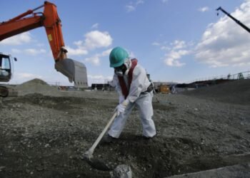 Decontaminating Fukushima … – Moneyweb