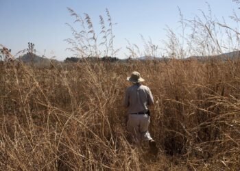 Zimbabwe’s Ncube sees progress in R66bn farmer dispute