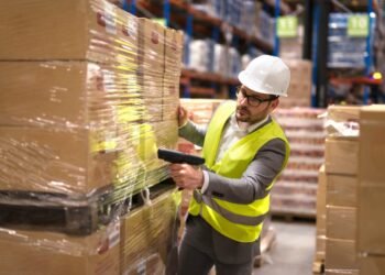 Understanding the Wholesale Enterprise Mannequin