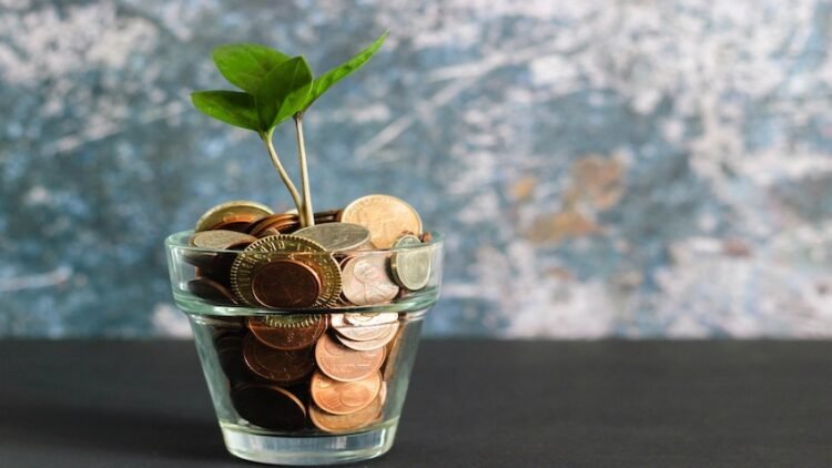 How A lot Does a Web site Price? (And Ideas To Preserve Prices Low)