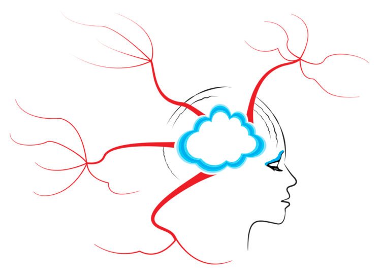 The right way to Get Began With Thoughts Mapping