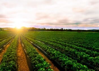 Gladstone Land: American Farmland At A Low cost, 3.8% Yield (NASDAQ:LAND)