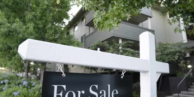 How 4 individuals met their match in 2023 with the least inexpensive housing market in a long time