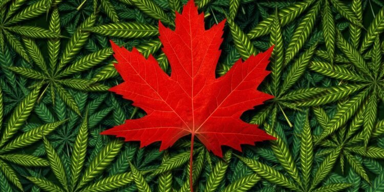 Hashish Shares: 10 Greatest Firms