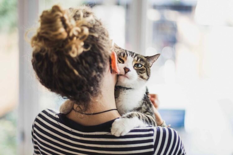 Finest Cat Insurance coverage of 2024