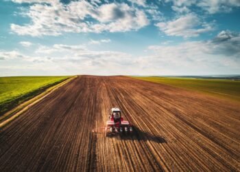 How you can spend money on farmland: 7 easy methods