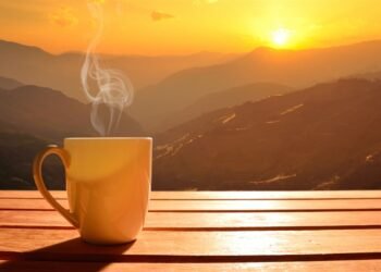 Investing in espresso: 3 nice methods to contemplate 