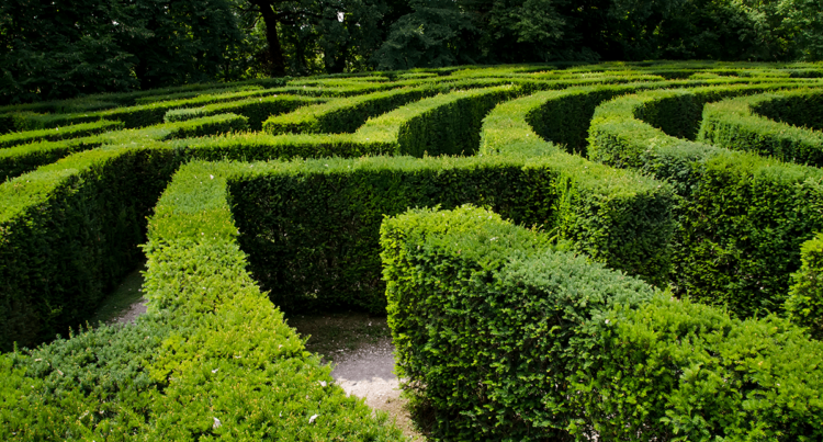 Situation Planning and Web-Zero | CFA Institute Enterprising Investor