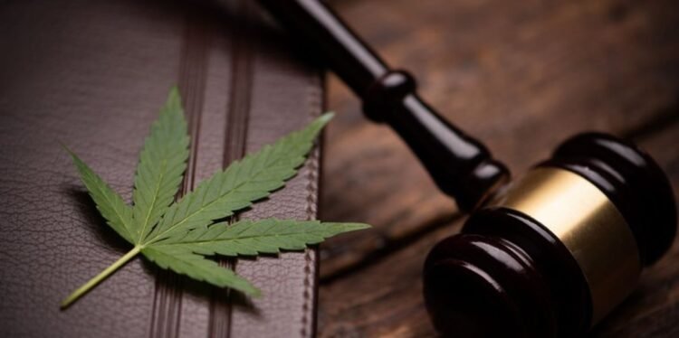 Germany Turns into Ninth European Nation to Legalize Leisure Hashish