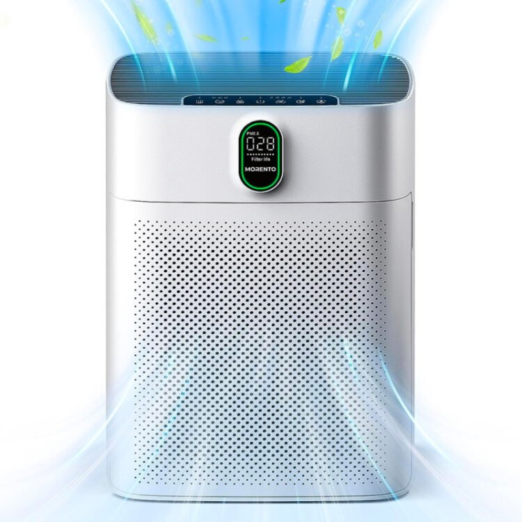 This $650 air air purifier that's a 'sport changer' for individuals with allergic reactions is now simply $75 at Amazon