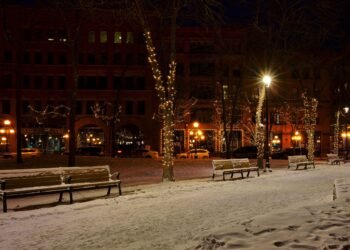 January Important Road Well being Report: Small companies expertise post-holiday slowdown whereas battling deep freeze