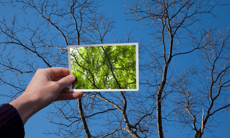 A Paradigm Shift in Investing — Are You Prepared?