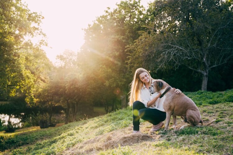 Greatest Pet Insurance coverage for Older Canine
