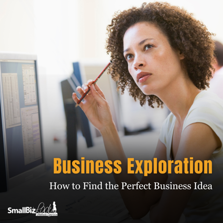 How one can Discover the Good Enterprise Thought » Succeed As Your Personal Boss
