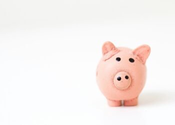 Elevating Cash-Sensible Youngsters: A Information To Educating Private Finance