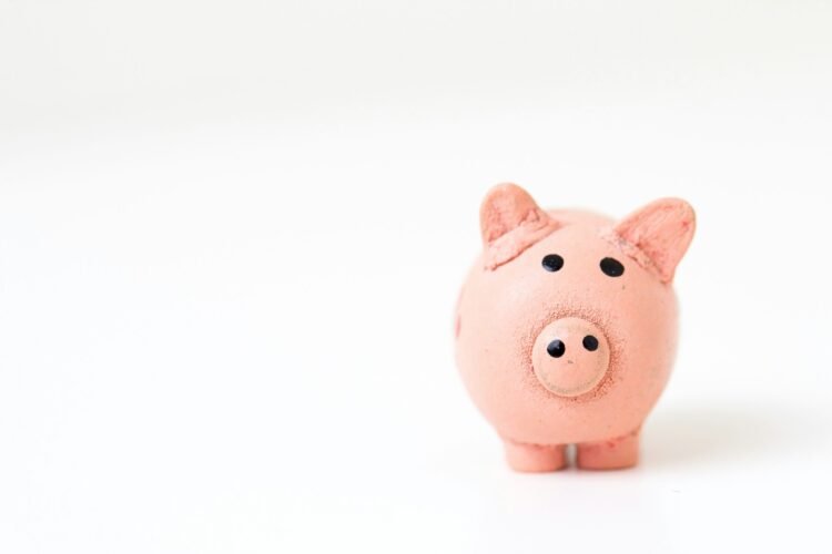 Elevating Cash-Sensible Youngsters: A Information To Educating Private Finance
