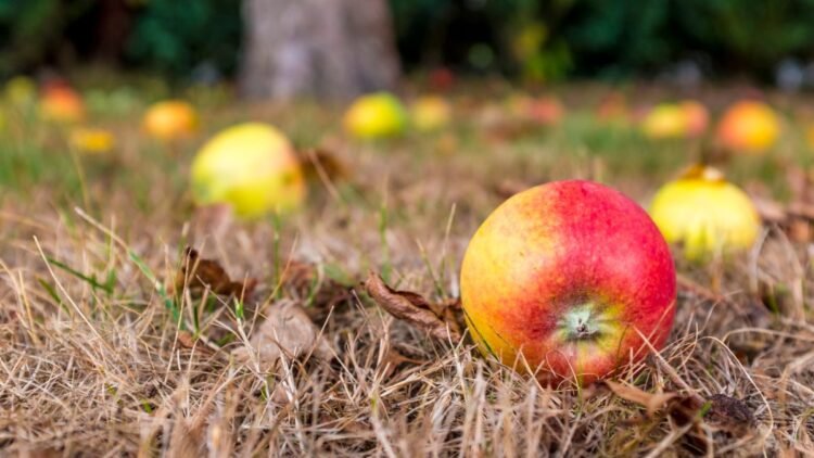 Generational Wealth: Does the Apple Fall Far From the Tree?