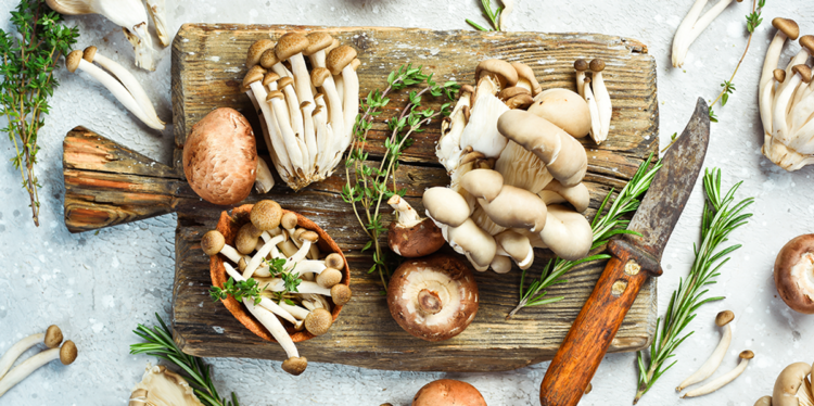 Useful Mushrooms: A Market Overview