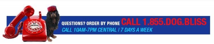 Get a Memorable and Efficient Enterprise Telephone Quantity Utilizing Artwork and Science
